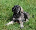 Файл=DSC_0253.jpg
Объём=181KB
Размеры=960x800
Дата=Июнь 09, 2008 DSC_0253.jpg