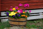Файл=DSC_0261.JPG
Объём=446KB
Размеры=1792x1200
Дата=Июль 10, 2008 DSC_0261.JPG