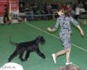 Файл=DSC_0273~0.jpg
Объём=482KB
Размеры=1000x800
Дата=Янв 31, 2009 DSC_0273~0.jpg