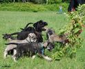 Файл=DSC_0273.jpg
Объём=150KB
Размеры=992x800
Дата=Июнь 09, 2008 DSC_0273.jpg