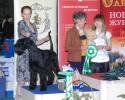 Файл=DSC_0280.jpg
Объём=672KB
Размеры=1000x800
Дата=Янв 31, 2009 DSC_0280.jpg