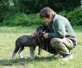 Файл=DSC_0282.jpg
Объём=156KB
Размеры=960x800
Дата=Июнь 09, 2008 DSC_0282.jpg