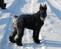Файл=DSC_0286.jpg
Объём=556KB
Размеры=1000x800
Дата=Фев 05, 2009 DSC_0286.jpg