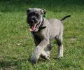 Файл=DSC_0289.jpg
Объём=122KB
Размеры=960x800
Дата=Июнь 09, 2008 DSC_0289.jpg