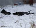 Файл=DSC_0291.jpg
Объём=104KB
Размеры=1003x800
Дата=Янв 02, 2009 DSC_0291.jpg