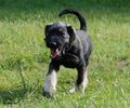 Файл=DSC_0293.jpg
Объём=113KB
Размеры=960x800
Дата=Июнь 09, 2008 DSC_0293.jpg