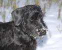Файл=DSC_0306.jpg
Объём=464KB
Размеры=1000x800
Дата=Янв 02, 2009 DSC_0306.jpg
