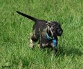 Файл=DSC_0309.jpg
Объём=139KB
Размеры=960x800
Дата=Июнь 09, 2008 DSC_0309.jpg