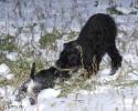 Файл=DSC_0311.jpg
Объём=573KB
Размеры=1000x800
Дата=Янв 02, 2009 DSC_0311.jpg