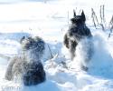 Файл=DSC_0313.jpg
Объём=657KB
Размеры=1000x800
Дата=Фев 05, 2009 DSC_0313.jpg
