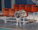 Файл=DSC_0318.jpg
Объём=550KB
Размеры=1000x800
Дата=Янв 31, 2009 DSC_0318.jpg