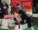 Файл=DSC_0346.jpg
Объём=678KB
Размеры=1000x800
Дата=Янв 31, 2009 DSC_0346.jpg