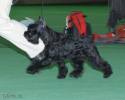 Файл=DSC_0358.jpg
Объём=413KB
Размеры=1000x800
Дата=Янв 31, 2009 DSC_0358.jpg