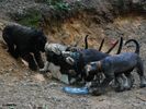 Файл=DSC_0374.jpg
Объём=162KB
Размеры=1068x800
Дата=Июнь 09, 2008 DSC_0374.jpg
