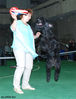 Файл=DSC_0394.jpg
Объём=324KB
Размеры=612x800
Дата=Май 26, 2008 DSC_0394.jpg
