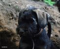 Файл=DSC_0402.jpg
Объём=96KB
Размеры=981x800
Дата=Июнь 09, 2008 DSC_0402.jpg