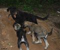 Файл=DSC_0414.jpg
Объём=114KB
Размеры=960x800
Дата=Июнь 09, 2008 DSC_0414.jpg