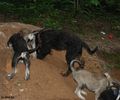 Файл=DSC_0416.jpg
Объём=120KB
Размеры=960x800
Дата=Июнь 09, 2008 DSC_0416.jpg