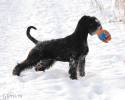 Файл=DSC_0419.jpg
Объём=418KB
Размеры=1000x800
Дата=Янв 20, 2009 DSC_0419.jpg