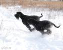 Файл=DSC_0430.jpg
Объём=402KB
Размеры=1000x800
Дата=Янв 20, 2009 DSC_0430.jpg