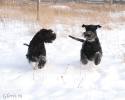 Файл=DSC_0460.jpg
Объём=434KB
Размеры=1000x800
Дата=Янв 20, 2009 DSC_0460.jpg