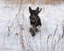 Файл=DSC_0468.jpg
Объём=616KB
Размеры=1000x800
Дата=Янв 20, 2009 DSC_0468.jpg
