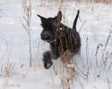 Файл=DSC_0469.jpg
Объём=564KB
Размеры=1000x800
Дата=Янв 20, 2009 DSC_0469.jpg