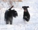 Файл=DSC_0489.jpg
Объём=384KB
Размеры=1000x800
Дата=Янв 20, 2009 DSC_0489.jpg