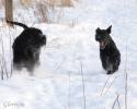 Файл=DSC_0490.jpg
Объём=396KB
Размеры=1000x800
Дата=Янв 20, 2009 DSC_0490.jpg