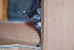Файл=DSC_0498~0.jpg
Объём=51KB
Размеры=1195x800
Дата=Март 25, 2009 DSC_0498~0.jpg