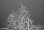 Файл=DSC_0500.jpg
Объём=113KB
Размеры=1195x800
Дата=Янв 21, 2009 DSC_0500.jpg