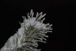 Файл=DSC_0508.jpg
Объём=69KB
Размеры=1195x800
Дата=Янв 21, 2009 DSC_0508.jpg