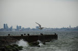 Файл=Tallinn.jpg
Объём=73KB
Размеры=1216x800
Дата=Июнь 09, 2008 Tallinn.jpg