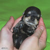 Файл=mini-schnauzer-puppy4.jpg
Объём=236KB
Размеры=600x600
Дата=Март 23, 2008 mini-schnauzer-puppy4.jpg
