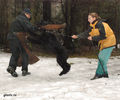 Файл=riesenschnauzerCh1.jpg
Объём=352KB
Размеры=720x600
Дата=Март 14, 2008 riesenschnauzerCh1.jpg