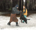 Файл=riesenschnauzerD1.jpg
Объём=348KB
Размеры=720x600
Дата=Март 14, 2008 riesenschnauzerD1.jpg