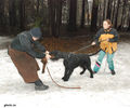 Файл=riesenschnauzerD2.jpg
Объём=344KB
Размеры=720x600
Дата=Март 14, 2008 riesenschnauzerD2.jpg