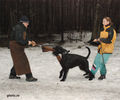 Файл=riesenschnauzerD4.jpg
Объём=334KB
Размеры=720x600
Дата=Март 14, 2008 riesenschnauzerD4.jpg