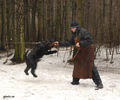 Файл=riesenschnauzerQ2.jpg
Объём=371KB
Размеры=720x600
Дата=Март 14, 2008 riesenschnauzerQ2.jpg