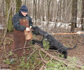 Файл=riesenschnauzer_Carden2.jpg
Объём=932KB
Размеры=960x800
Дата=Март 17, 2008 riesenschnauzer_Carden2.jpg