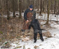 Файл=riesenschnauzer_Chipola1.jpg
Объём=799KB
Размеры=960x800
Дата=Март 17, 2008 riesenschnauzer_Chipola1.jpg