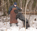 Файл=riesenschnauzer_Luna2.jpg
Объём=789KB
Размеры=960x800
Дата=Март 17, 2008 riesenschnauzer_Luna2.jpg