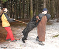 Файл=riesenschnauzer_Tavish1.jpg
Объём=777KB
Размеры=960x800
Дата=Март 17, 2008 riesenschnauzer_Tavish1.jpg