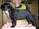 Файл=DSCN0856.JPG
Объём=92KB
Размеры=800x598
Дата=Март 02, 2008 DSCN0856.JPG