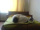 Файл=DSC00216.JPG
Объём=41KB
Размеры=640x480
Дата=Март 21, 2008 DSC00216.JPG