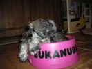 Файл=IMGP0163.JPG
Объём=72KB
Размеры=800x600
Дата=Март 21, 2008 IMGP0163.JPG