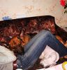 Файл=IMGP3504.JPG
Объём=104KB
Размеры=437x452
Дата=Март 21, 2008 IMGP3504.JPG